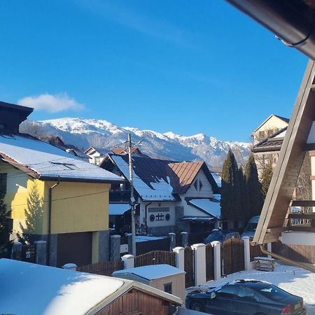 Vila Panselutelor 6 Sinaia Exterior photo